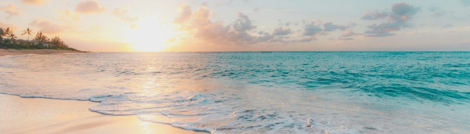 seashore during golden hour