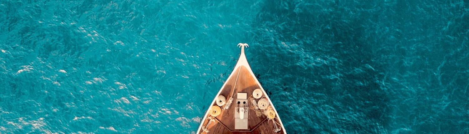 birds eye photography of boat on body of water